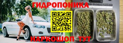 гашик Татарск